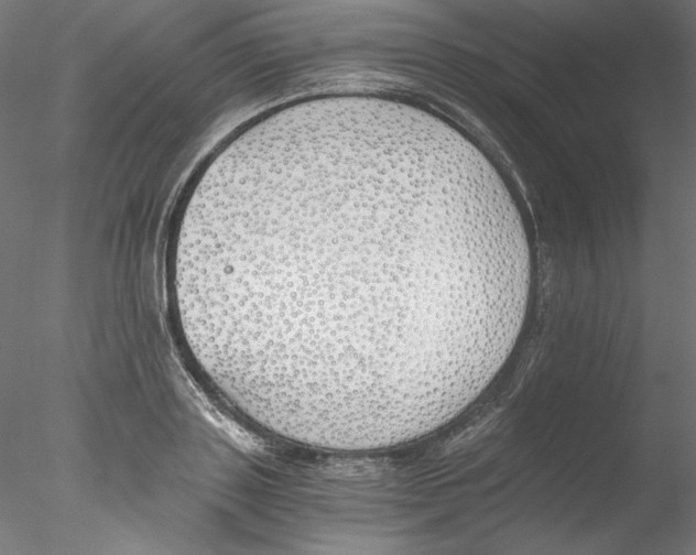 X0000076370843200611031601