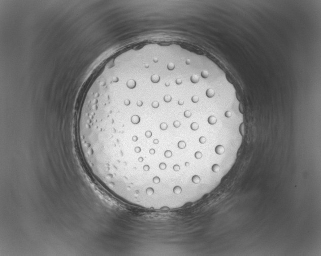 X0000076370853200611031601