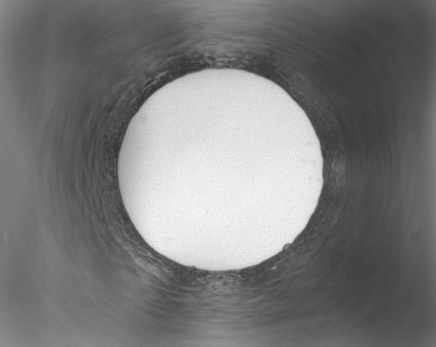 X0000076370865200611031601