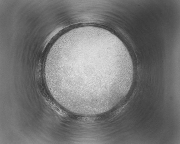 X0000076370875200611031601