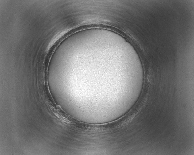 X0000076370877200611031601