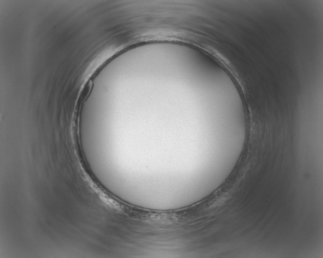 X0000076370901200611031600