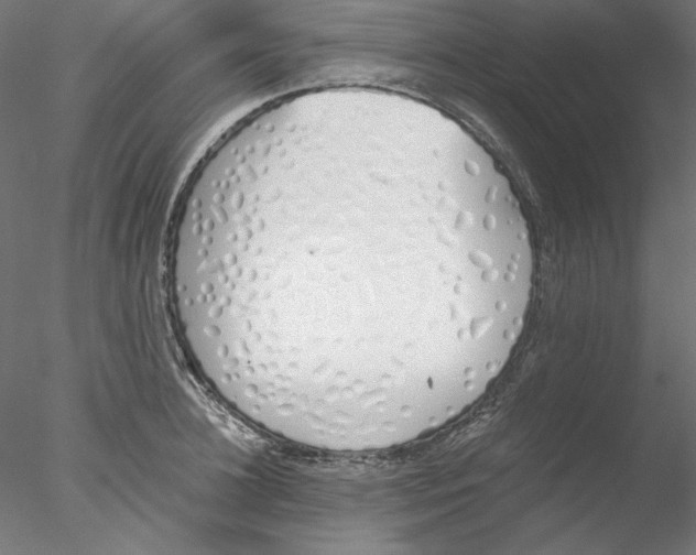 X0000076370948200611031600