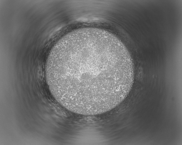 X0000076370966200611031559