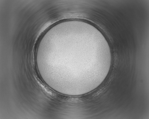 X0000076370982200611031559