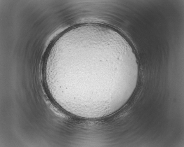 X0000076370987200611031559