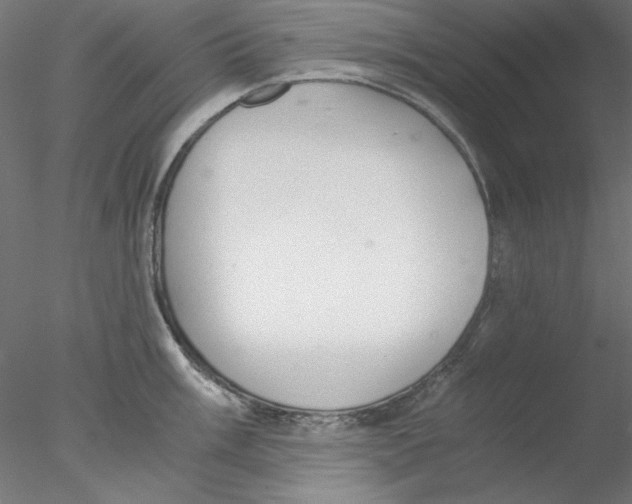 X0000076371003200611031559