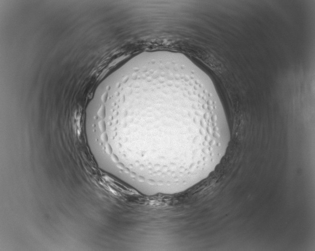 X0000076371010200611031558