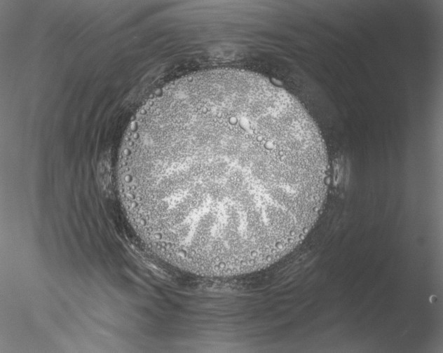 X0000076371011200611031558
