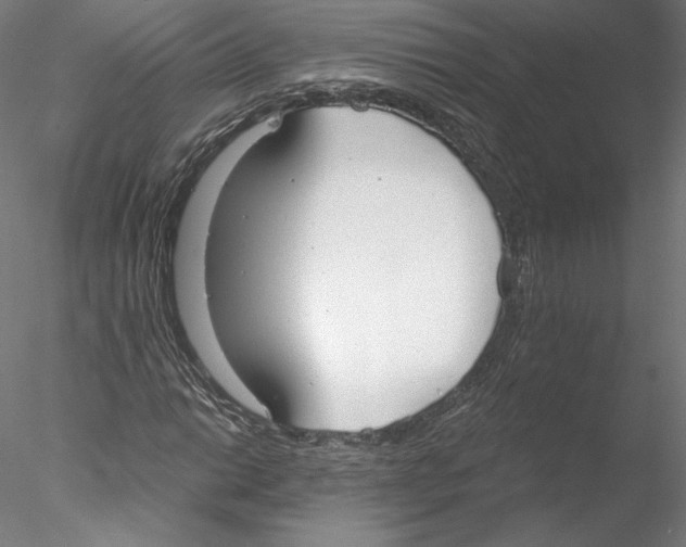 X0000076371014200611031558
