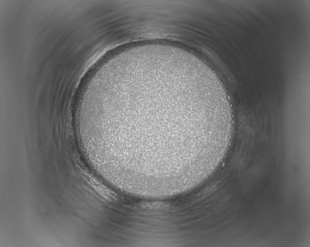 X0000076371023200611031558