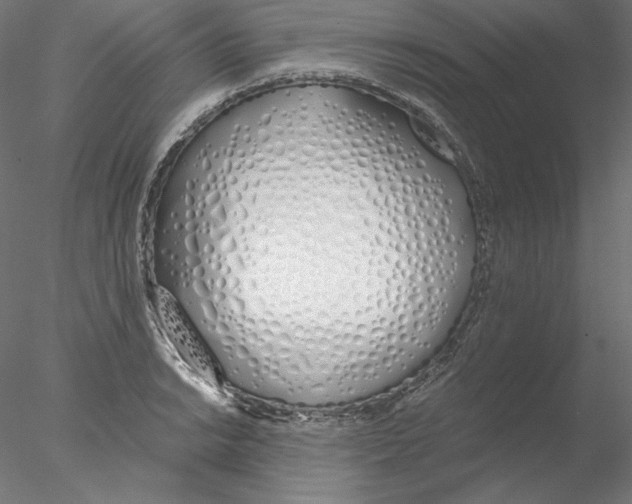 X0000076371038200611031558