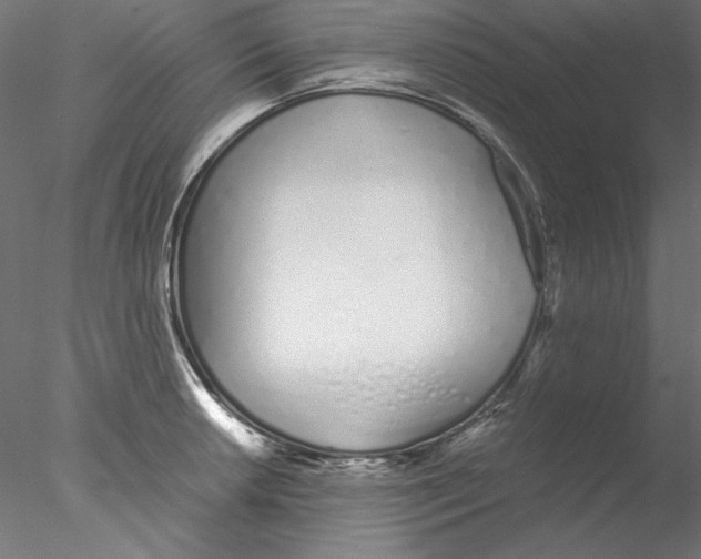 X0000076371042200611031558