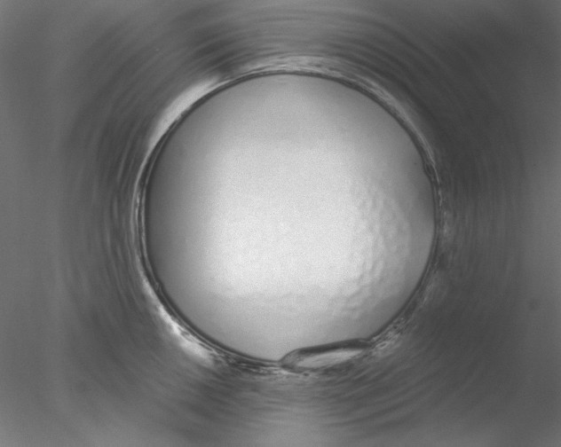X0000076371050200611031558