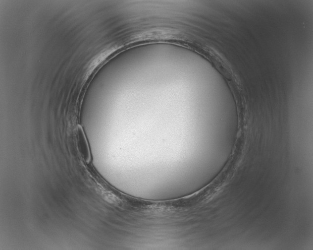 X0000076371081200611031557