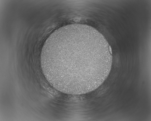 X0000076371105200611031556
