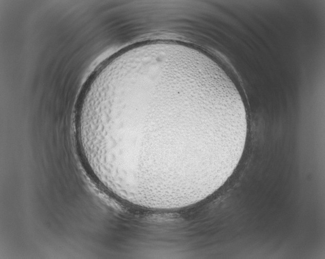 X0000076371133200611031556