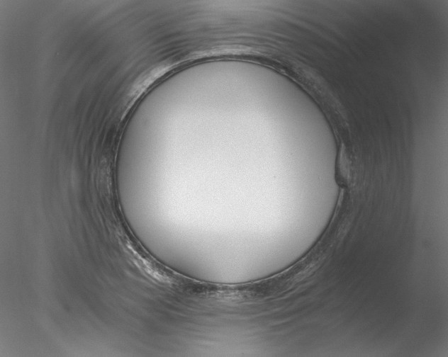 X0000076371177200611031556