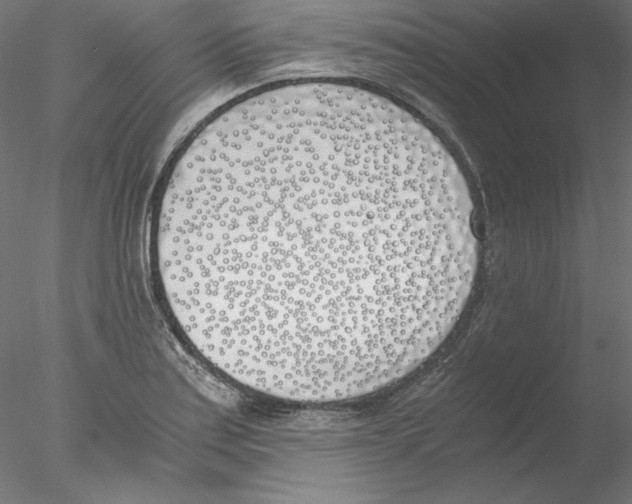 X0000076371179200611031556