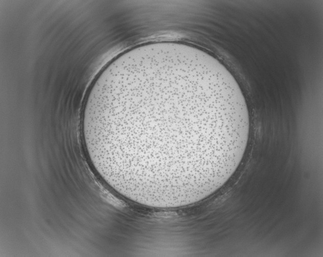 X0000076371186200611031555