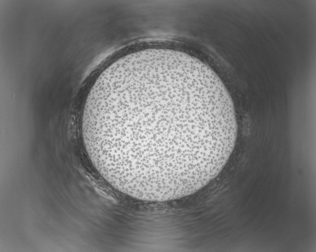 X0000076371208200611031555