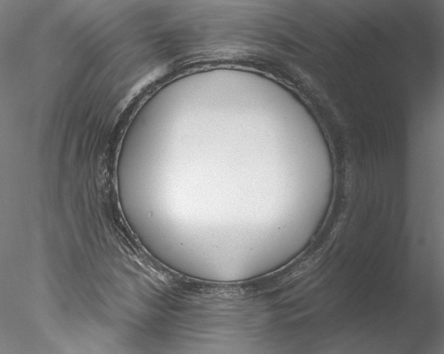 X0000076371210200611031555