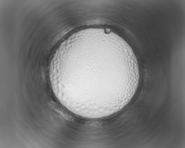 X0000076371217200611031555
