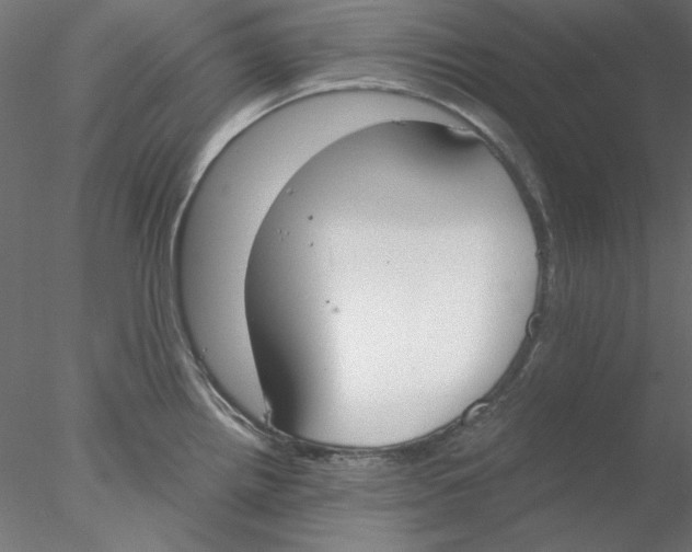 X0000076371242200611031555