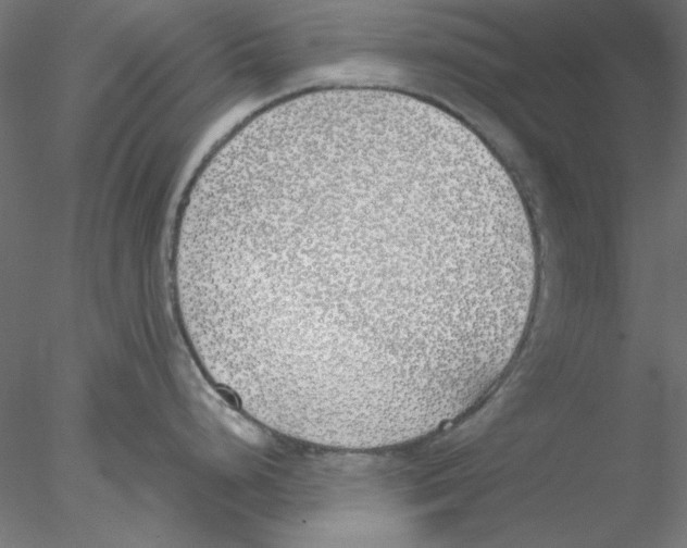 X0000076371248200611031555