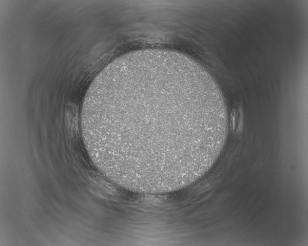 X0000076371251200611031554