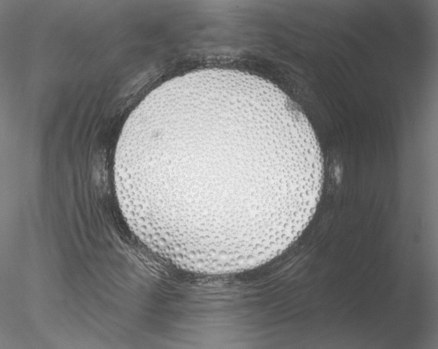 X0000076371252200611031554