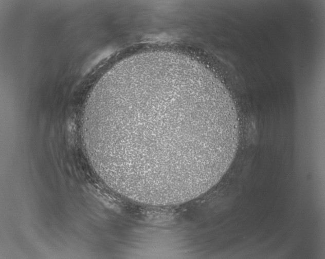 X0000076371254200611031554