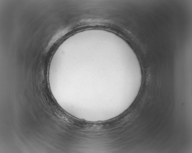 X0000076371261200611031554