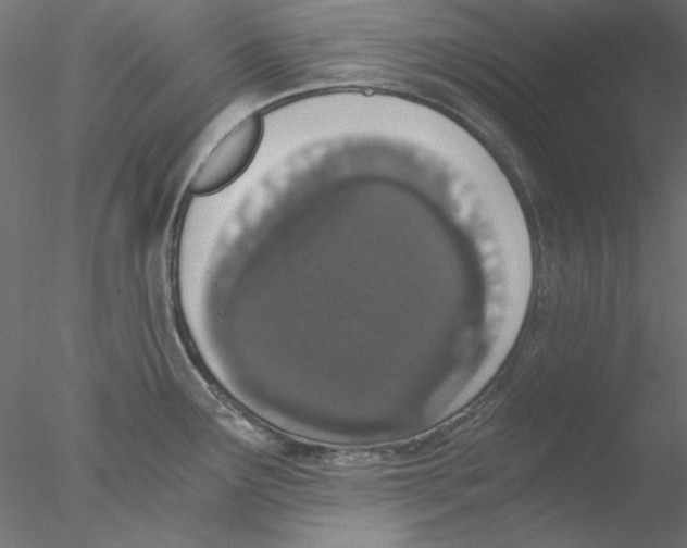 X0000076371291200611031554