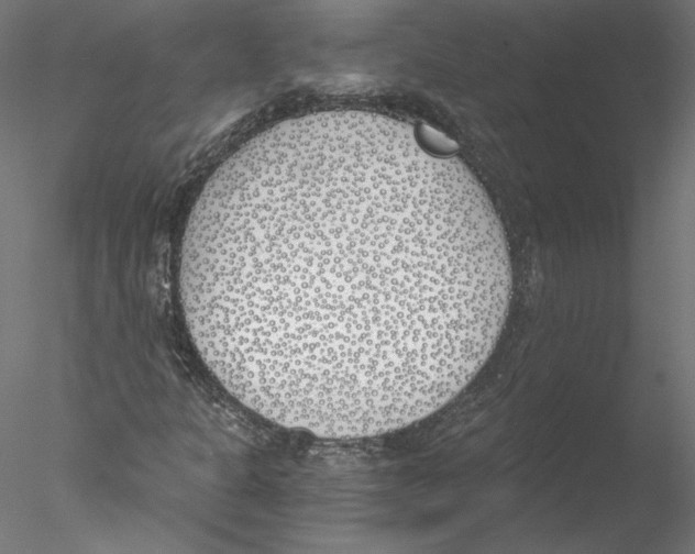 X0000076371301200611031553