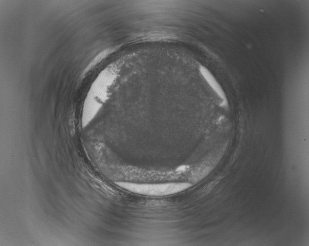 X0000076371306200611031553