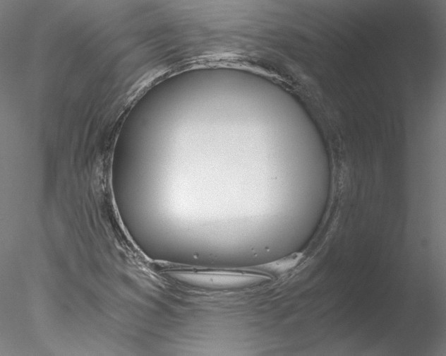 X0000076371353200611031553