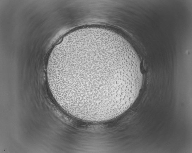 X0000076371363200611031552