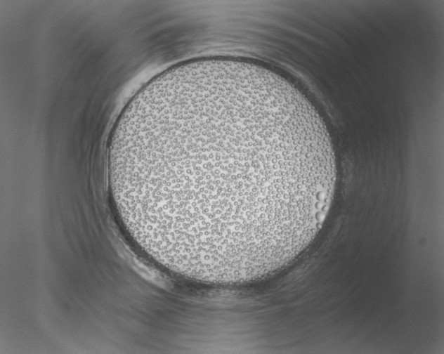 X0000076371371200611031552