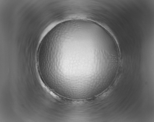 X0000076371389200611031552