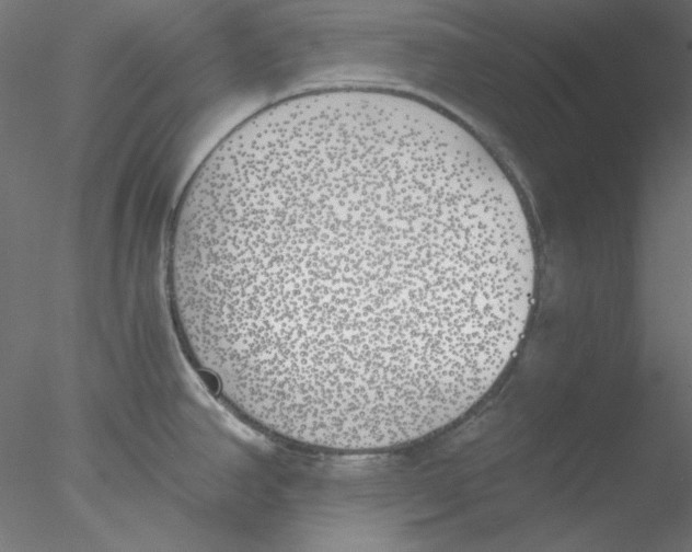 X0000076371390200611031552