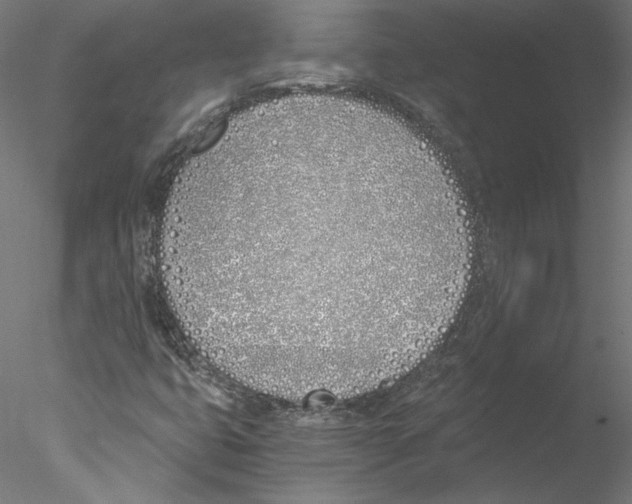 X0000076371399200611031551