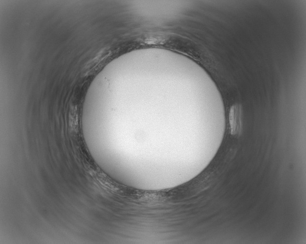 X0000076371443200611031551