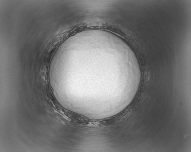 X0000076371445200611031551