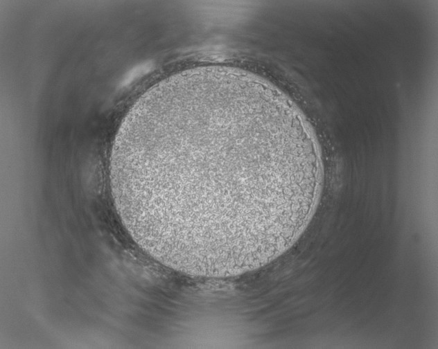 X0000076371446200611031551
