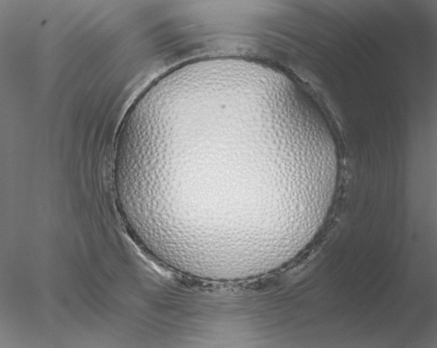 X0000076371473200611031551