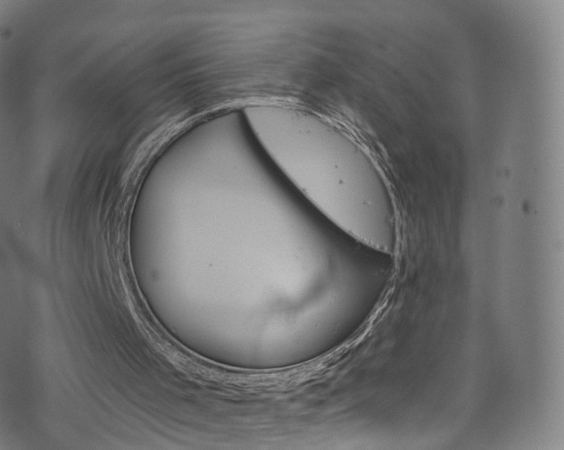 X0000076380001200610060938