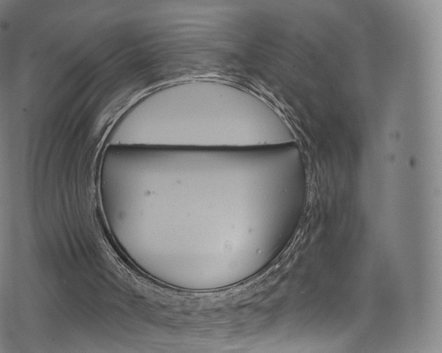 X0000076380002200610060938