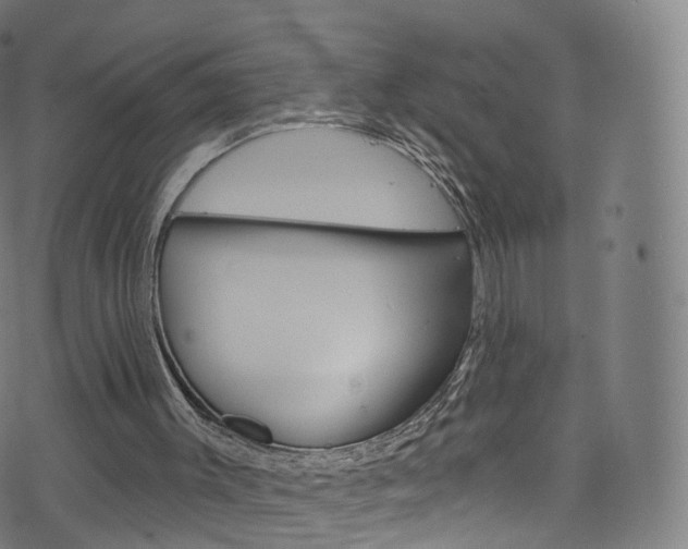 X0000076380003200610060937