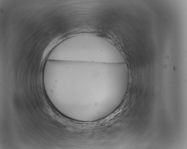 X0000076380004200610060937